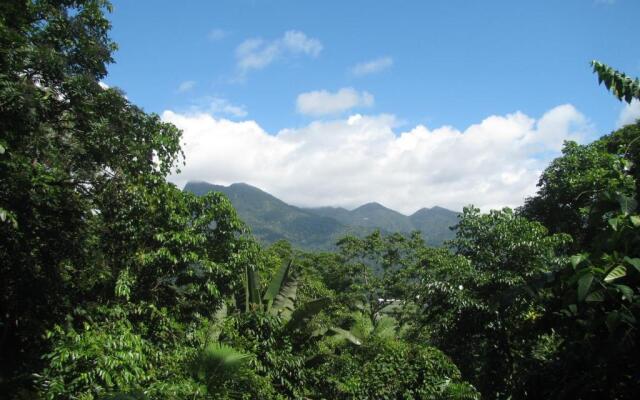 Mossman Gorge Bed and Breakfast