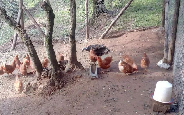 Agriturismo Aura Toscana