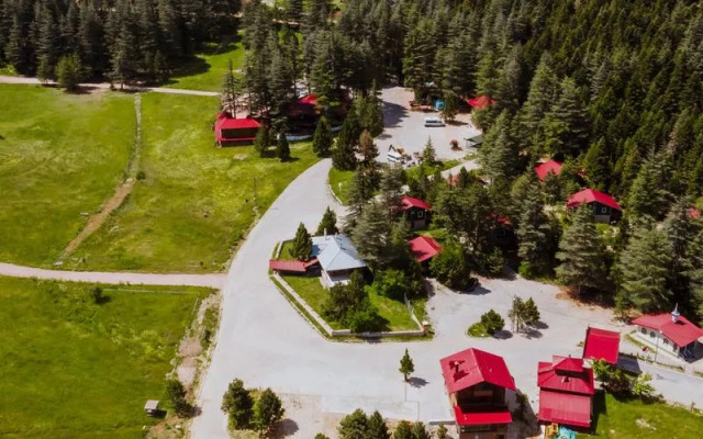 Başkonuş Yaylası Orman Evleri