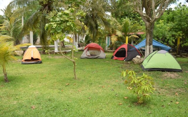 Camping Hostal El Árbol de la Vida