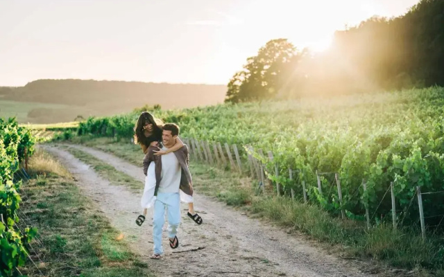 Loisium Wine & Spa Hotel Champagne