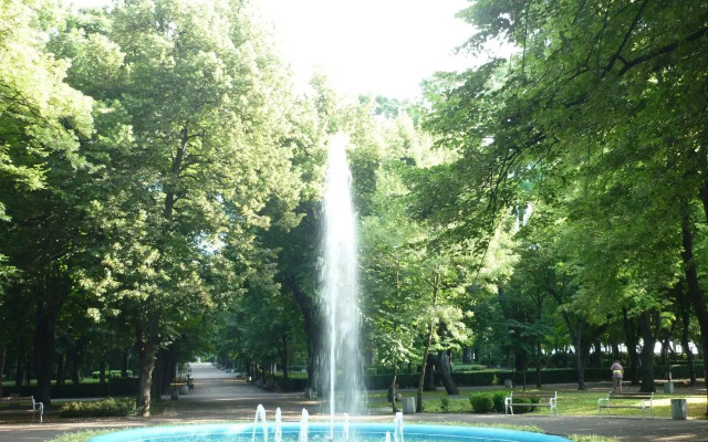 Sea Garden Plaza Apartment