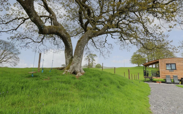 Wild Acre