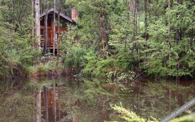 Woodlands Rainforest Retreat