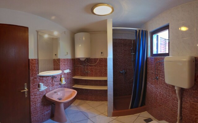 Victorious VIScovery Green