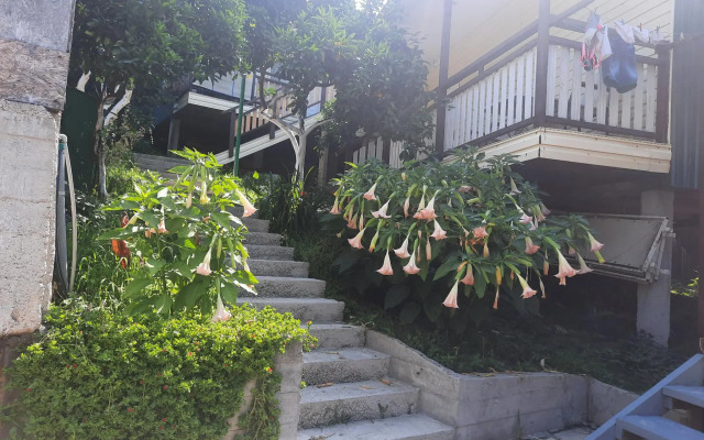 Mandarin Paradise Guest House