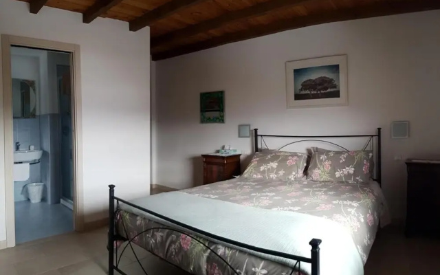 Cherry House B&B