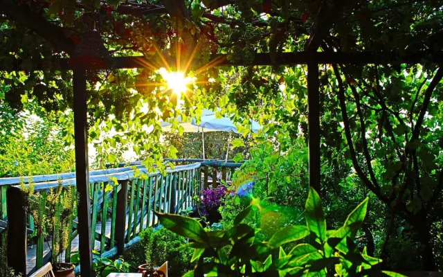 Lazy Lizard Boutique-Hotel
