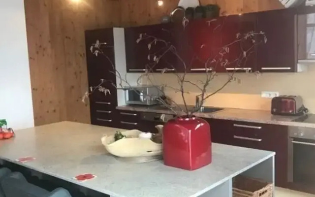 Skiblickhaus Comfortable Holiday Residence