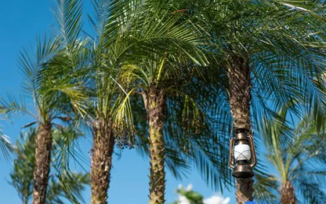 Dali · Listening to the Sea｜Above Erhai Aerial Garden Seaview Resort Hotel (Erhai Branch)