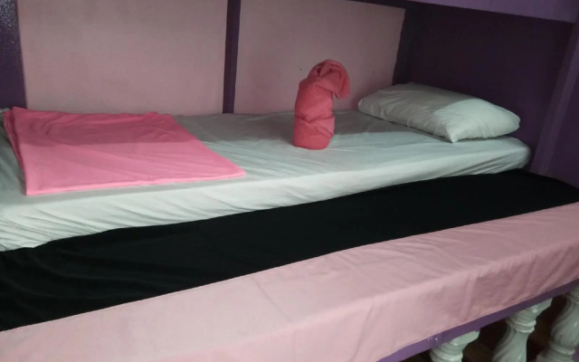 Wild & Wandering Backpacker & Bar