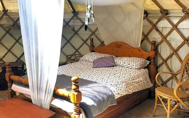 South Downs Eco Lodge and Camping