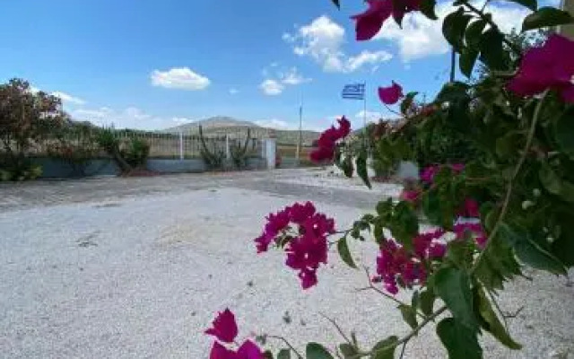 Leonidas Resort