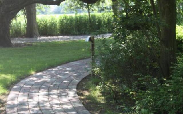 Bachstelze - [#29090]