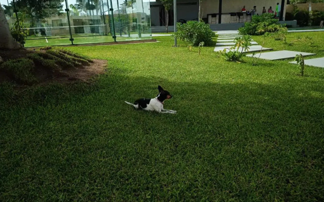 Paraíso Playa Bonita- Roof Top