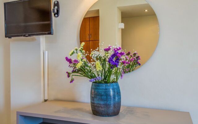 Gianthea Studios and Apt