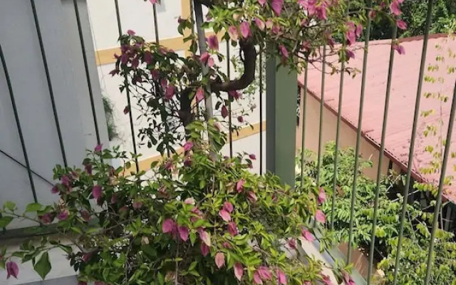 OUTSTANDING Residence near FrenchQuarter