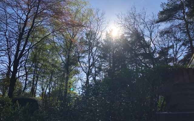 De Boswilg, heerlijk genieten midden in de natuur!