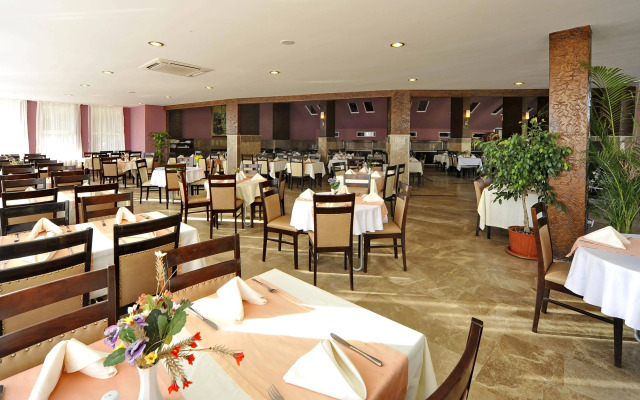 Lioness Hotel