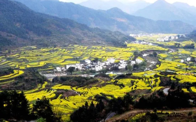 Wuyuan met the dawn bighead