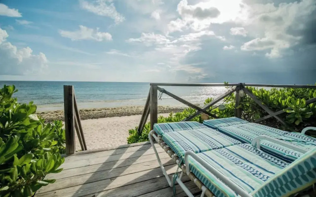 Flipper'S Haven: Tropical Retreat