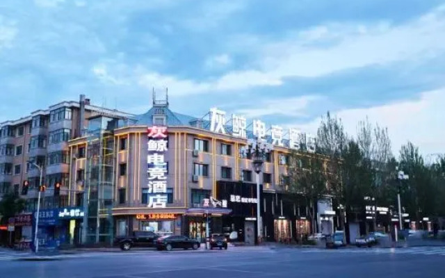 Wuchang Grey Whale E-sports Hotel
