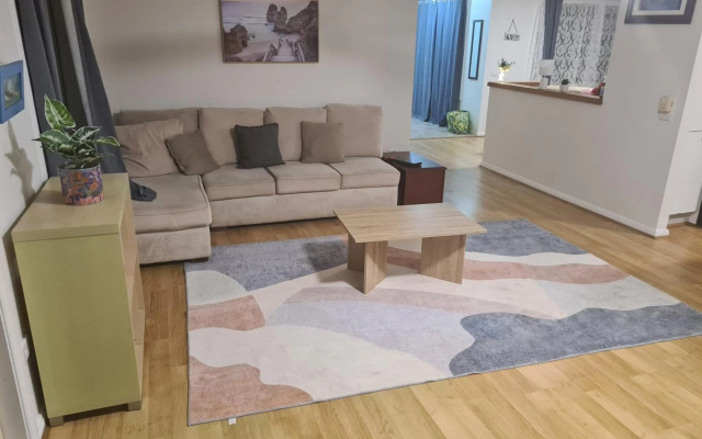 Harrys Haven Harrington