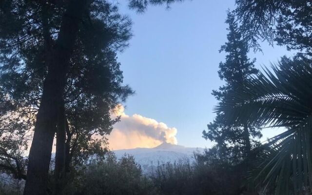 Sole di Sicilia