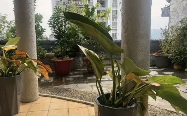 Cen Gong Snail House