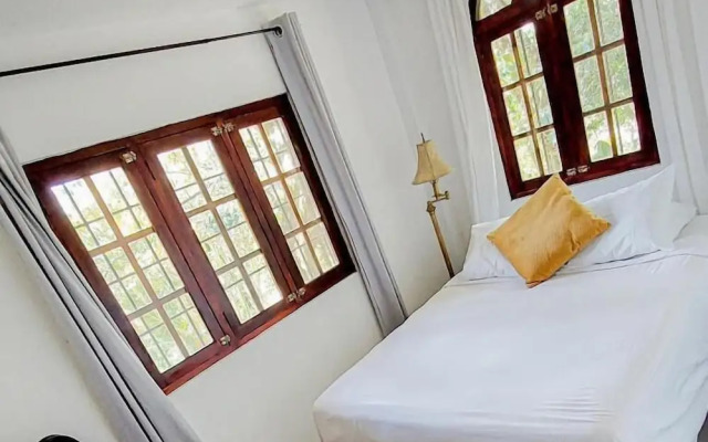 The Golden Frog Inn