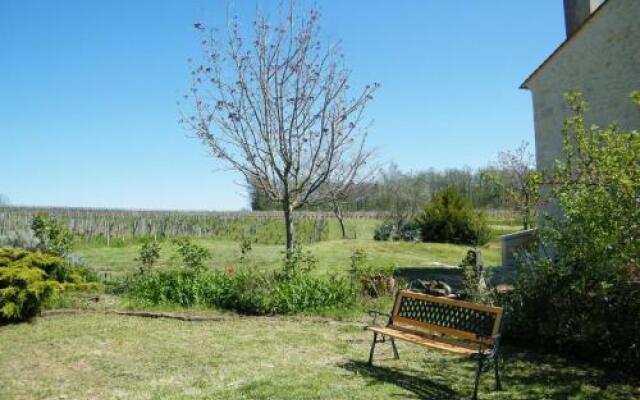 Clos Vieux Rochers Vineyard