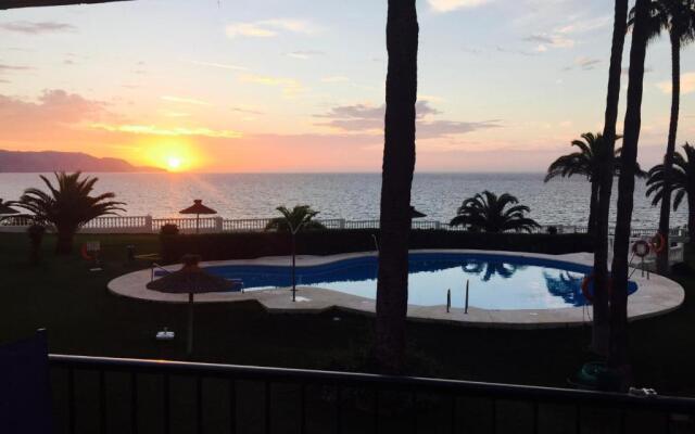 Palmeras 53 Menyber