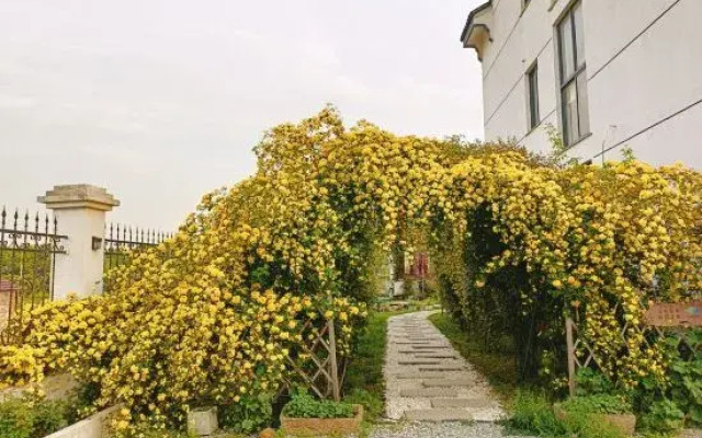 Yumo Boutique Guesthouse