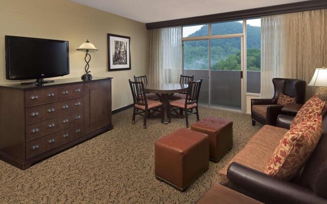 The Park Vista - a DoubleTree by Hilton Hotel - Gatlinburg