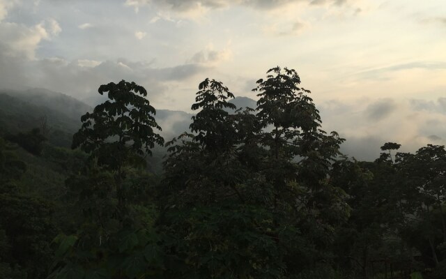 Finca Cafetera San Rafael