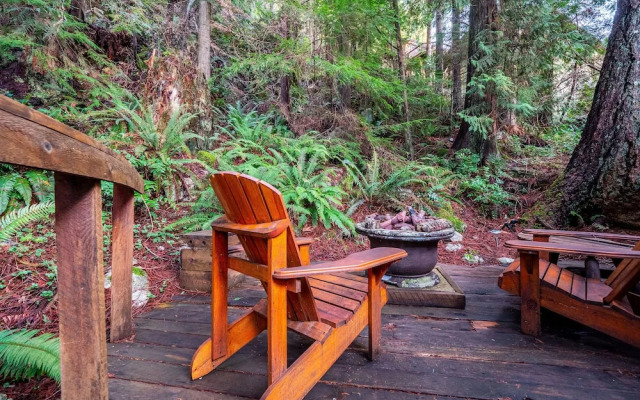 The Tree House Cottage