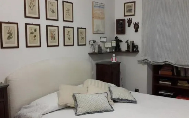 La Pera Volpina Monteverde Vecchio