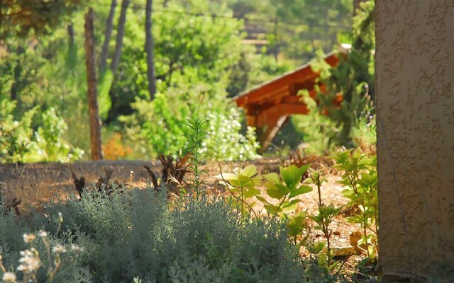 Spacious Holiday Home in Lorgues With Private Pool