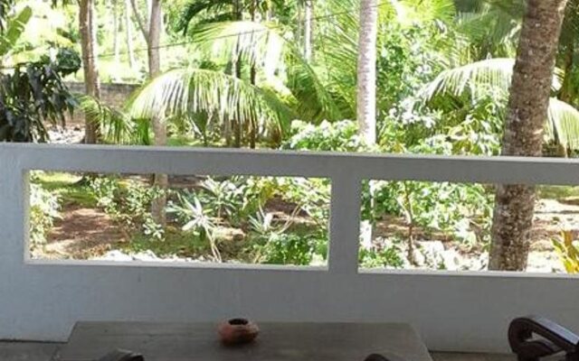 Dream Villa