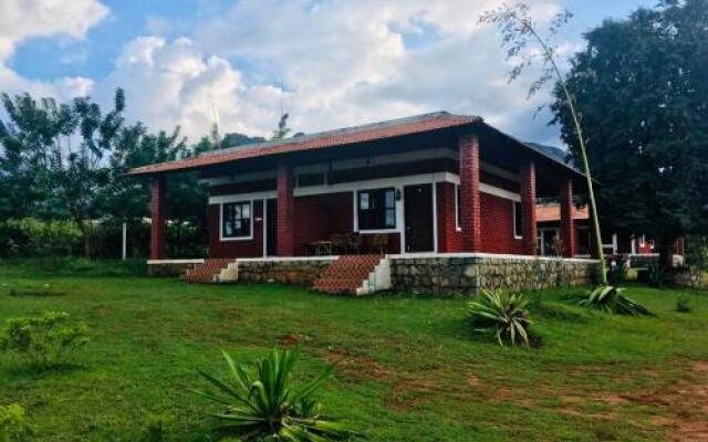 Jungle Inn Resorts