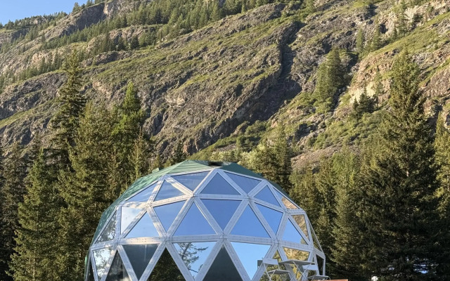 Зелёный колобок