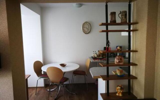 Convenient Central Apartment