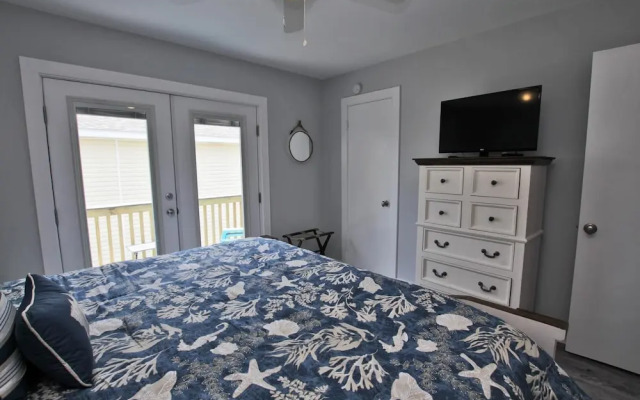 Sand Dollar by Youngs Suncoast