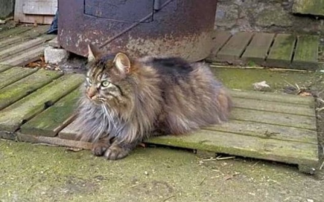 B&B A la Ferme d'Ourches