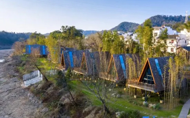 Tree Frog Resort Hotel