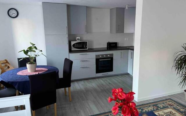 Maison neuve chaleureuse pour 1 à 4 personnes