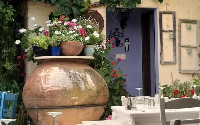 Ble Mavi Studio-Adults only