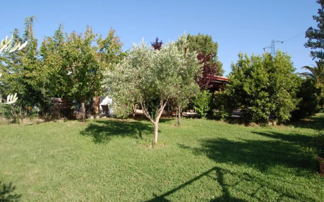 Agriturismo Il Cipresso