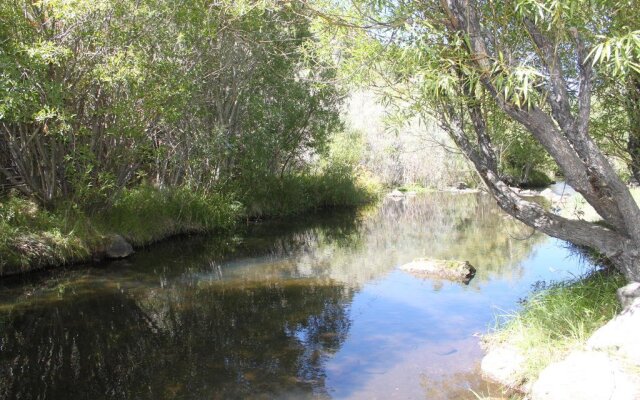 Virginia Creek Settlement