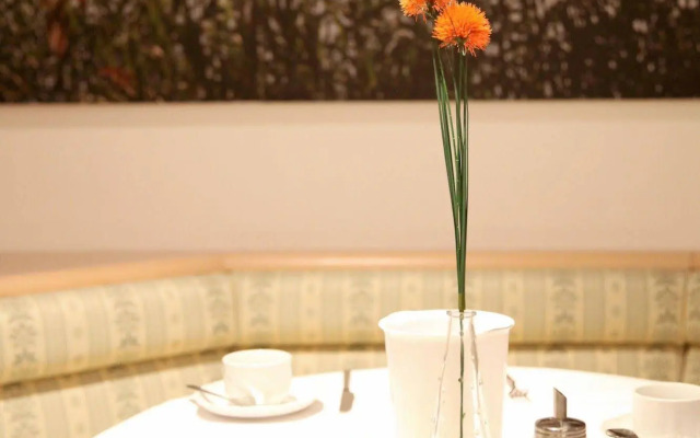 Sonnenhotel Feldberg am See